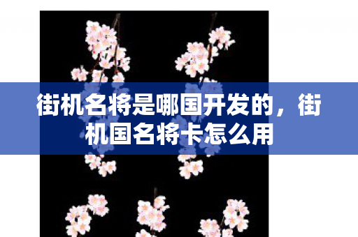 街机名将是哪国开发的,街机国名将卡怎么用 街机名将是哪国开发的,街机国名将卡怎么用