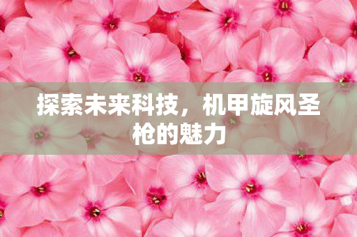 探索未来科技,机甲旋风圣枪的魅力 探索未来科技,机甲旋风圣枪的魅力
