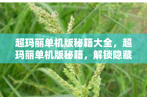 超玛丽单机版秘籍大全，超玛丽单机版秘籍，解锁隐藏关卡与无限生命