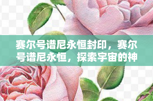 赛尔号谱尼永恒封印,赛尔号谱尼永恒,探索宇宙的神秘之旅 赛尔号谱尼永恒封印,赛尔号谱尼永恒,探索宇宙的神秘之旅