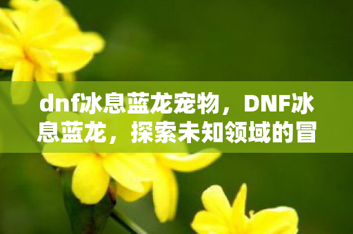 dnf冰息蓝龙宠物,DNF冰息蓝龙,探索未知领域的冒险之旅 dnf冰息蓝龙宠物,DNF冰息蓝龙,探索未知领域的冒险之旅