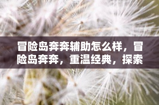 冒险岛奔奔辅助怎么样图片