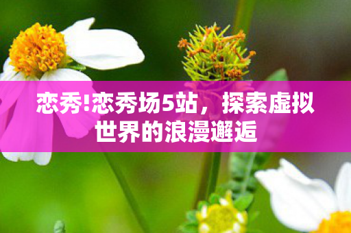 探索虚拟世界的浪漫邂逅图片