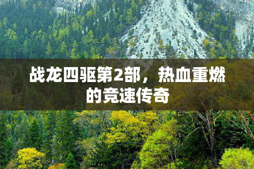 战龙四驱第2部,热血重燃的竞速传奇 战龙四驱第2部,热血重燃的竞速传奇