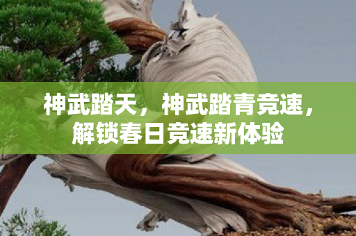 解锁春日竞速新体验图片