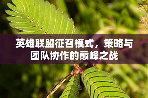 英雄联盟征召模式,策略与团队协作的巅峰之战 英雄联盟征召模式,策略与团队协作的巅峰之战