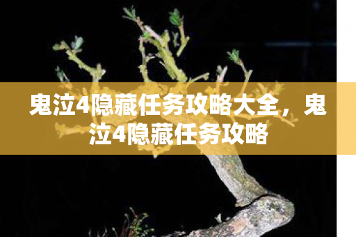 鬼泣4隐藏任务攻略大全图片