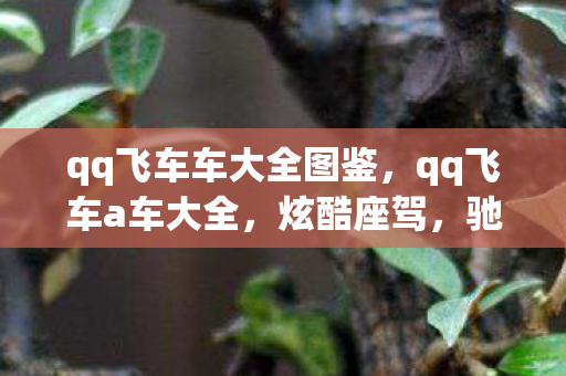 qq飞车车大全图鉴,qq飞车a车大全,炫酷座驾,驰骋赛道 qq飞车车大全图鉴,qq飞车a车大全,炫酷座驾,驰骋赛道