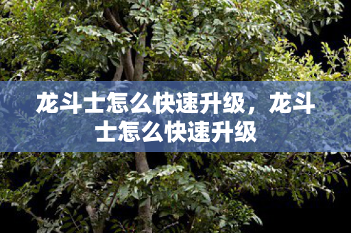 龙斗士怎么快速升级图片