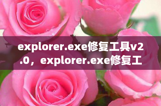 解决Windows资源管理器问题的利器图片