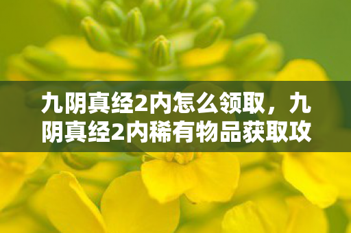 九阴真经2内稀有物品获取攻略图片