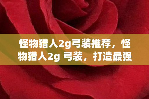 怪物猎人2g弓装推荐图片