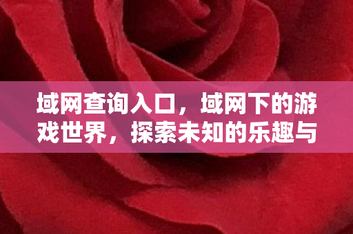 域网查询入口，域网下的游戏世界，探索未知的乐趣与挑战