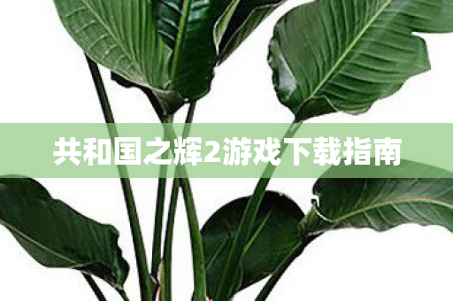 共和国之辉2游戏下载指南 共和国之辉2游戏下载指南