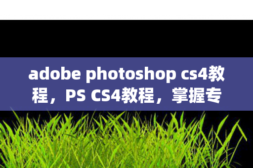 adobe photoshop cs4教程,PS CS4教程,掌握专业图像处理技巧 adobe photoshop cs4教程,PS CS4教程,掌握专业图像处理技巧