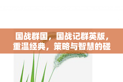 国战群国,国战记群英版,重温经典,策略与智慧的碰撞 国战群国,国战记群英版,重温经典,策略与智慧的碰撞