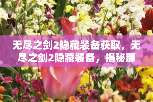 无尽之剑2隐藏装备获取,无尽之剑2隐藏装备,揭秘那些鲜为人知的神秘装备 无尽之剑2隐藏装备获取,无尽之剑2隐藏装备,揭秘那些鲜为人知的神秘装备