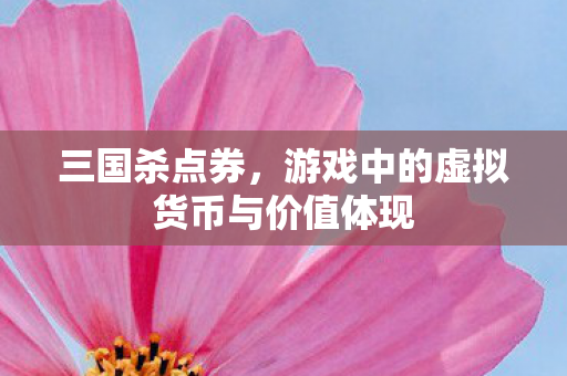 三国杀点券,游戏中的虚拟货币与价值体现 三国杀点券,游戏中的虚拟货币与价值体现