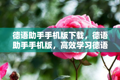 德语助手手机版下载,德语助手手机版,高效学习德语的智能伴侣 德语助手手机版下载,德语助手手机版,高效学习德语的智能伴侣