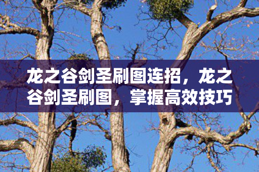 龙之谷剑圣刷图连招,龙之谷剑圣刷图,掌握高效技巧,提升刷图效率 龙之谷剑圣刷图连招,龙之谷剑圣刷图,掌握高效技巧,提升刷图效率