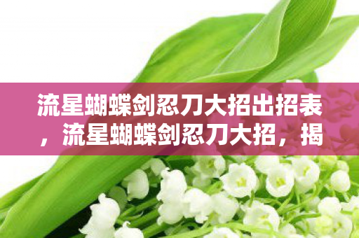 流星蝴蝶剑忍刀大招出招表,流星蝴蝶剑忍刀大招,揭秘其独特魅力与实战应用 流星蝴蝶剑忍刀大招出招表,流星蝴蝶剑忍刀大招,揭秘其独特魅力与实战应用