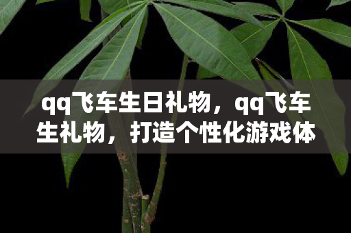 qq飞车生日礼物，qq飞车生礼物，打造个性化游戏体验，尽享飞车世界