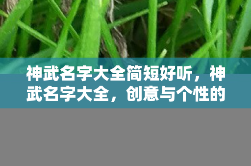 神武名字大全简短好听图片