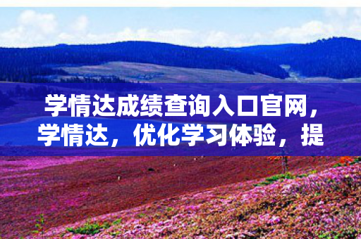 学情达成绩查询入口官网图片