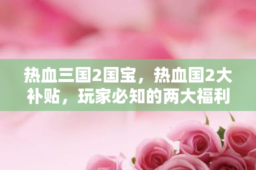 热血三国2国宝，热血国2大补贴，玩家必知的两大福利政策
