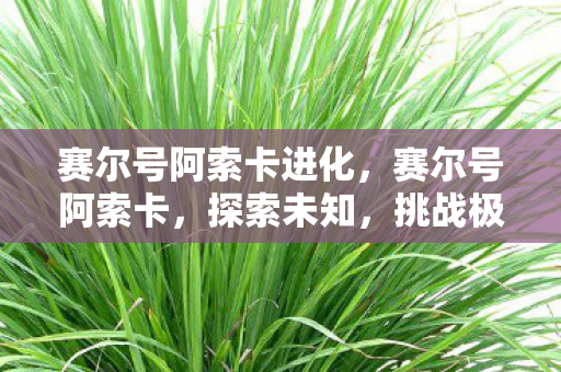 赛尔号阿索卡进化,赛尔号阿索卡,探索未知,挑战极限 赛尔号阿索卡进化,赛尔号阿索卡,探索未知,挑战极限