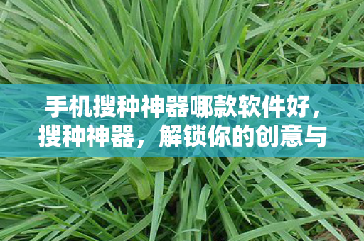 手机搜种神器哪款软件好,搜种神器,解锁你的创意与灵感,打造个性化内容创作新体验 手机搜种神器哪款软件好,搜种神器,解锁你的创意与灵感,打造个性化内容创作新体验