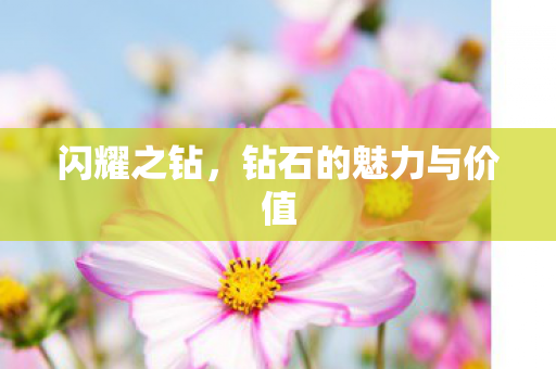 闪耀之钻，钻石的魅力与价值