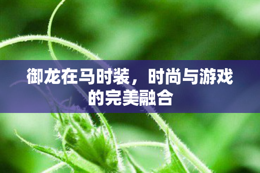 御龙在马时装,时尚与游戏的完美融合 御龙在马时装,时尚与游戏的完美融合