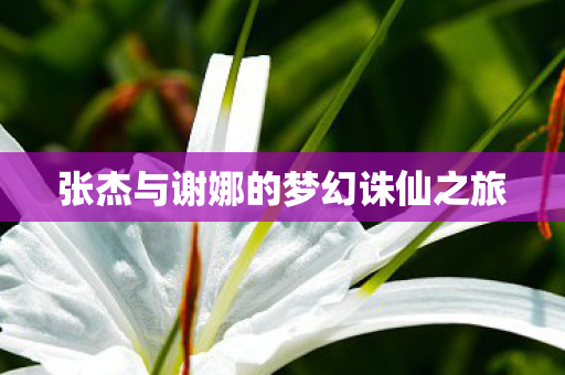 张杰与谢娜的梦幻诛仙之旅 张杰与谢娜的梦幻诛仙之旅