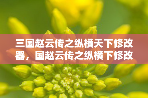 三国赵云传之纵横天下修改器,国赵云传之纵横下修改器,解锁无限可能的策略游戏新体验 三国赵云传之纵横天下修改器,国赵云传之纵横下修改器,解锁无限可能的策略游戏新体验