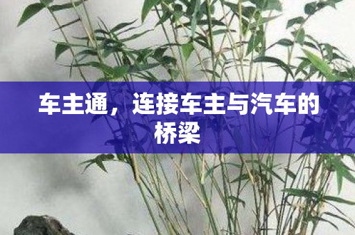 车主通,连接车主与汽车的桥梁 车主通,连接车主与汽车的桥梁