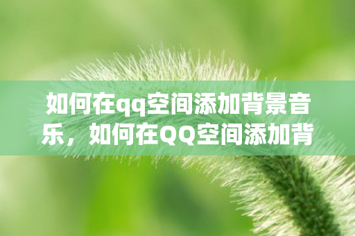 如何在qq空间添加背景音乐,如何在QQ空间添加背景音 如何在qq空间添加背景音乐,如何在QQ空间添加背景音