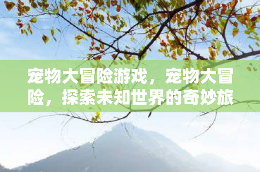 探索未知世界的奇妙旅程图片