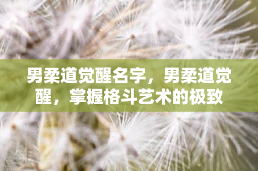 男柔道觉醒名字,男柔道觉醒,掌握格斗艺术的极致 男柔道觉醒名字,男柔道觉醒,掌握格斗艺术的极致