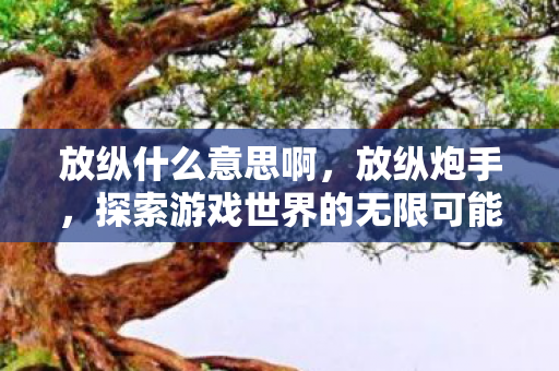 放纵什么意思啊,放纵炮手,探索游戏世界的无限可能 放纵什么意思啊,放纵炮手,探索游戏世界的无限可能