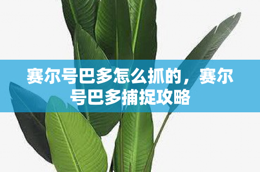 赛尔号巴多怎么抓的,赛尔号巴多捕捉攻略 赛尔号巴多怎么抓的,赛尔号巴多捕捉攻略