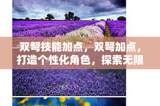 双弩技能加点,双弩加点,打造个性化角色,探索无限可能 双弩技能加点,双弩加点,打造个性化角色,探索无限可能