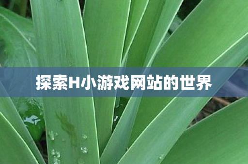 探索H小游戏网站的世界 探索H小游戏网站的世界