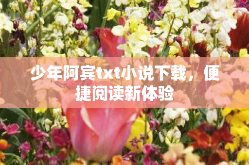 少年阿宾txt小说下载,便捷阅读新体验 少年阿宾txt小说下载,便捷阅读新体验