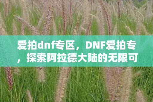 探索阿拉德大陆的无限可能图片