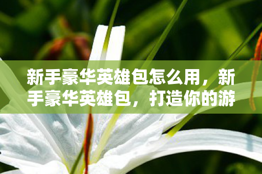 新手豪华英雄包怎么用图片