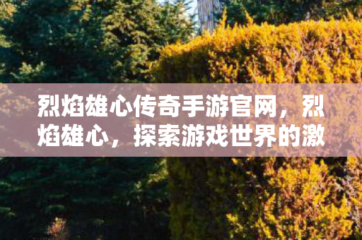 烈焰雄心传奇手游官网,烈焰雄心,探索游戏世界的激情与梦想 烈焰雄心传奇手游官网,烈焰雄心,探索游戏世界的激情与梦想