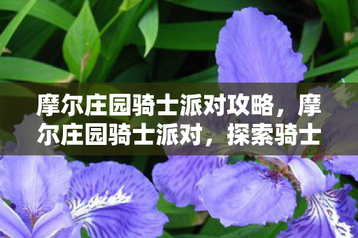 探索骑士的荣耀与庄园的欢乐图片