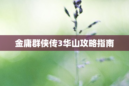 金庸群侠传3华山攻略指南 金庸群侠传3华山攻略指南