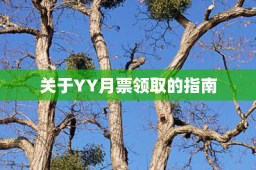 关于YY月票领取的指南 关于YY月票领取的指南